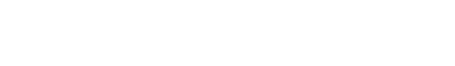 WebRise Studio
